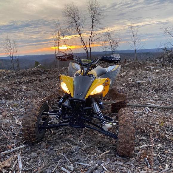 Meet your Posher, Dustin - Picture 1 of 1